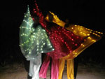 LED & Fire performer